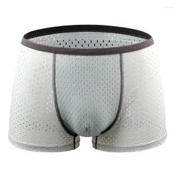 Underpants Men Sexy Underwear Mens Solid Ultra-thin Transparent Male Mesh Quick Dry Mid-rise Four Corner Knickers