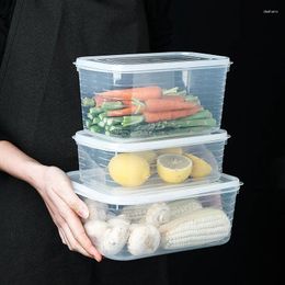 Storage Bottles 3pcs Food Box Reusable Plastic Bento Microwavable Lunch Boxes With Lids Containers