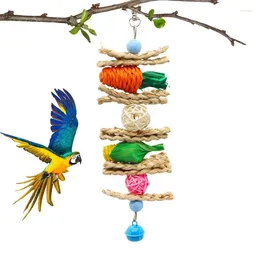 Other Bird Supplies Chew Toys Parrot Teething Toy Cuttlefish Bone Chewing Braided Carrots Molar Stone Cultivate Foraging Instincts