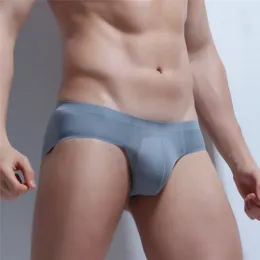 Underpants Mens Sexy Panties Men Underwear Briefs Summer Ice Transparent Gay Seamless Silky