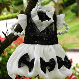 Dog Apparel Small Clothes Dress Princess Skirt Summer Pet Clothing Wedding Dresses Bichon Poodle Schnauzer Yorkie Pomeranian Costume