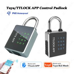 Lock New Outdoor Waterproof Safe Security Intelligent Password Storage Lock Tuya or TTLock APP Key Box Antitheft Box for Cabinet