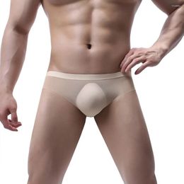 Underpants Sexy Underwear Men's Mesh Solid Colour Low Waist Soft Breathable Knickers Briefs Roupa Interior Masculina