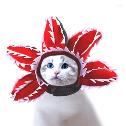 Dog Apparel Pet Hat Cartoon Plush Cat Costumes For Cats And Short In Three Sizes Halloween Masquerade Home