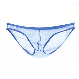 Underpants Men's Sexy Underpant Men Low Waist Ultra-thin Mesh Briefs Male Transparent Underwear Large Size Solid