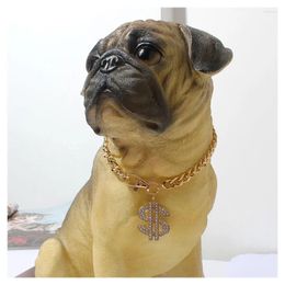 Dog Apparel US Dollar Pendant Necklaces For Dogs Hip-hop Style Big Gold Chain Long Alloy Pitbull Pet Collar Jewelry Accessories