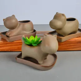 Vases Pet Cartoon Succulent Plant Pot Abstract Small Animal Stoare Green Succulents Flower Desktop Comes With Tray