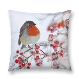 Pillow Robin Red Breast In Winter Throw Cases Decorative Decor