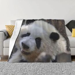 Blankets Huahua Panda Animal Blanket Warm Cozy Flannel Fleece Throw For Bedding Travel Camping