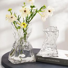 Vases Irregular Transparent Glass Flower Vase 23cm 9cm Big Bottle Tabletop Hydroponic Pot Home Living Room Table Decorations