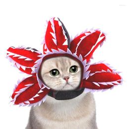 Dog Apparel Cat Outfit Short Plush Cute Hat Adjustable Cartoon Or In Three Sizes For Masquerade Po Home Daily