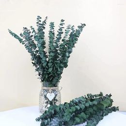 Decorative Flowers 10Pcs Artificial Eucalyptus Leaf Non-withering Plastic Faux Green Plants Home Wedding Decoration