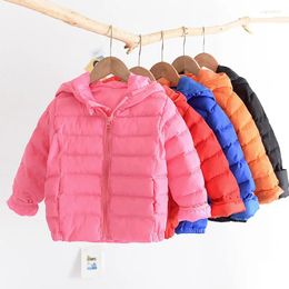 Down Coat 2024 Autumn And Winter Children Lightweight Hooded Kids Baby Children's Jacket Stall Wholesale