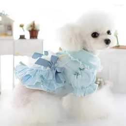 Dog Apparel Cat And Dress Autumn Winter Pet Fleece Princess Pink Blue Bow Lace Lapel Clothing