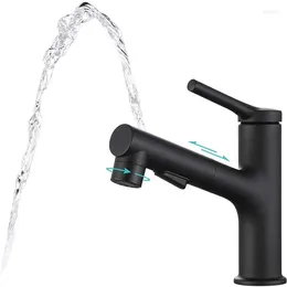 Bathroom Sink Faucets Mouthwash Basin Faucet Black Pull-out Multifunctional And Cold Mixing