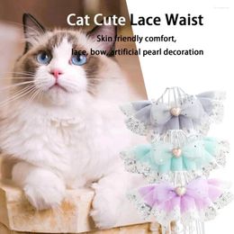 Dog Apparel Stylish Cat Lace Collar Fine Craftsmanship Adjustable Pet Bowknot Neckerchief Polyester Supplies