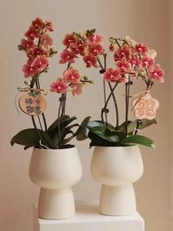 Nordic creative high foot simple white ceramic flower pot vase light luxury home room decoration modern decorative ins 240328