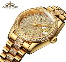 Japan Movement AESOP Watch Men Luxury Automatic Mechanical Men039s Wrist Wristwatch Male Clock Men Waterproof Relogio Masculino8221331