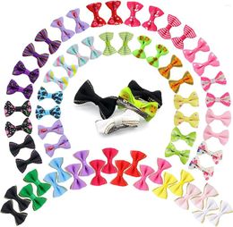 Dog Apparel 100pcs Grooming Hair Bows Mix Colours Small Accessories Rubber Bands Pet Headwear Supplier