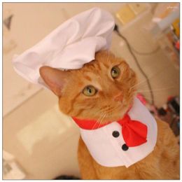 Cat Costumes Pet Cooking King Hat Chef Set Cats Dogs Cute Costume Pets Dress Up Po Props Accessories Wholesale