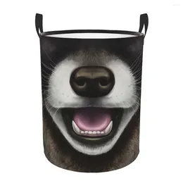 Laundry Bags Funny Animal Raccoon Basket Collapsible Trash Panda Racoon Toy Clothes Hamper Storage Bin For Kids Nursery