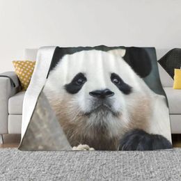 Blankets Fubao Panda Fu Bao Animal Blanket Plaid All-Season Comfort Throw For Easy Care Machine Home Decor