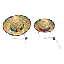 Dog Apparel Pet Straw Hat Cute Sun Protection Multifunction Portable Po Props Cat