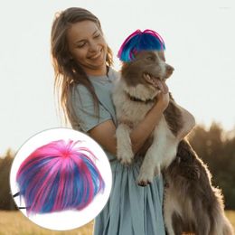 Dog Apparel Pet Wig For Dogs Elastic Band Eye-catching Wigs Halloween Festivals Adjustable Washable Reusable Funny