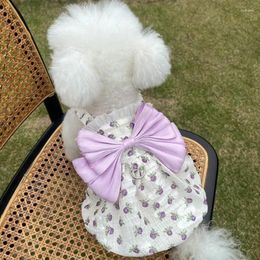 Dog Apparel Cat Clothes Small Dresses Chihuahua Yorkshire Terrier Pomeranian Shih Tzu Maltese Poodle Schnauzer Bichon Pet Clothing Skirt