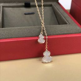 Collana designer gioielli diamanti a pendente classico in acciaio in acciaio in acciaio in acciaio coglione collane a ciondolo zucche