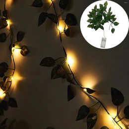 Decorative Flowers 2m Artificial Leaf Vine Scindapsus Aureus Garland For Terrarium Convenient And Practical