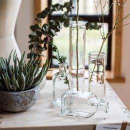 Vases Small Glassware Vase Transparent Dried Flower Arrangement Hydroponic Living Room Decoration Ornaments