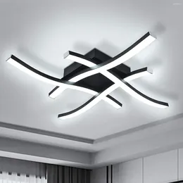 Ceiling Lights Modern Dimmable LED Light Curved Minimalist Flush Mount Fixture Lamp For Bedroom Foyer Kitchen 6000K 24W