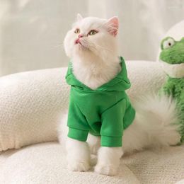 Dog Apparel Halloween Costume Frog Dragon Hooded Hoodies Cat Jacket Winter Warm Pullover Animal Clothes Shitzu Yorkshire Pug Accessories