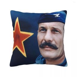 Pillow Colonel Robin Olds Throw S For Sofa Bed Pillows