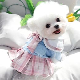 Dog Apparel Pet Princess Skirt Puppy Fall Style Dress Teddy Bee Bear Jumper Warm Clothes Knit Evening XS-XL