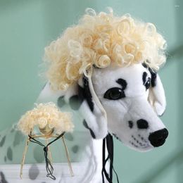 Dog Apparel Pet Wig For Dogs Colorful Vibrant Comfortable Halloween Wigs Reusable Funny Cat Costumes Cosplay Birthdays