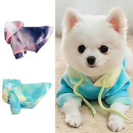 Dog Apparel Est Winter Pet Cat Clothes Hoodies For Small Dogs Chihuahua Pomeranian Colorful Puppy Sweater Kitten Sweatshirt Pullovers