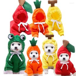 Dog Apparel Hooded Plush Coat For Pets Warm Clothes Cute Sweater Puppy And Cat Small Costumes Pet Supplies Winter