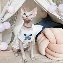 Summer Cat Clothes Pet Kitten Dog Clothing Cropped Shirt Vest T-Shirt Bottom Shirt For Hairless Cat Sphynx Devon 240403