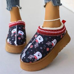 Slippers Winter Female Lady Flat Bottine Botas Size 36-42 Women Moccasin Snow Warm Suede Leather Lazy Loafers Boots Shoes