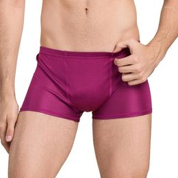 Underpants Men Real Silk Elastic Breathable Man Male Comfortable Briefs Knickers Shorts SI0025