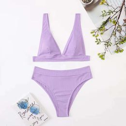 2024 new womens split pit strip solid color high waist Sexy Bikini Swimsuit womens swimsuit