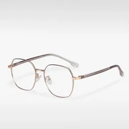 Sunglasses Frames Optimal Ultra Light Retro Irregular Round Pure Titanium Optical Prescription Reading Glasses Frame Men And Women