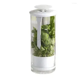 Storage Bottles Cilantro Keeper Preserver Mint For Refrigerator Organizer With Ventilation Slot Container Saver