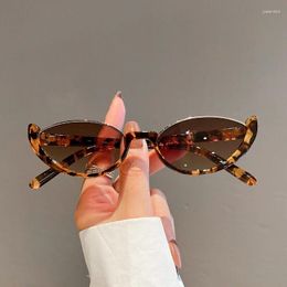 Sunglasses 2024 Retro Small Half Frame Women Cat Eye Sun Glasses Trendy Modern Eyewear Fashion Designer Shades