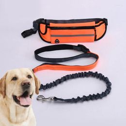 Dog Collars Adjustable Waist Belt Running Supplies With Reflective Strip Waterproof For Outdoor Sports Bag