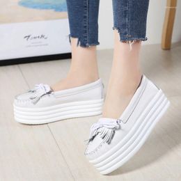 Walking Shoes 2024 Spring Summer Women's Increase Thick Sole Single Korean Version Fringe Casual Small White Leather