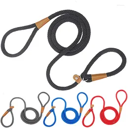 Dog Collars Nylon Pet Leash Outdoor Training Adjustable Leashes All-in-one Rope P Style Collar And Large Medium Small Dogs