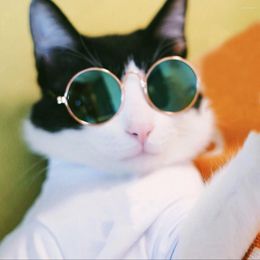 Dog Apparel Pet Cat Glasses Lovely Eye-wear Sunglasses Pos Prop Accessoires Products For Little